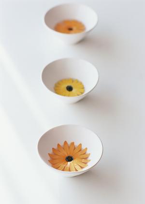 耐震診断や改修工事に興味がある人必見