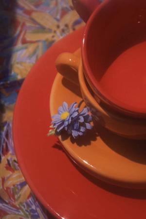 ルミネ新宿｜最新情報と魅力的な店舗紹介｜充実のショッピング＆グルメ体験